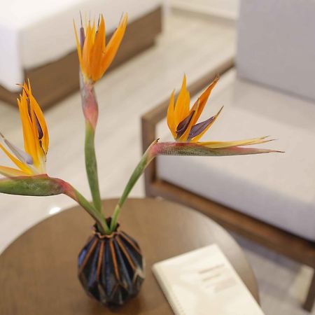 Terrace Villa Hoi An Dış mekan fotoğraf