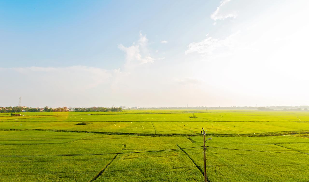 Terrace Villa Hoi An Dış mekan fotoğraf